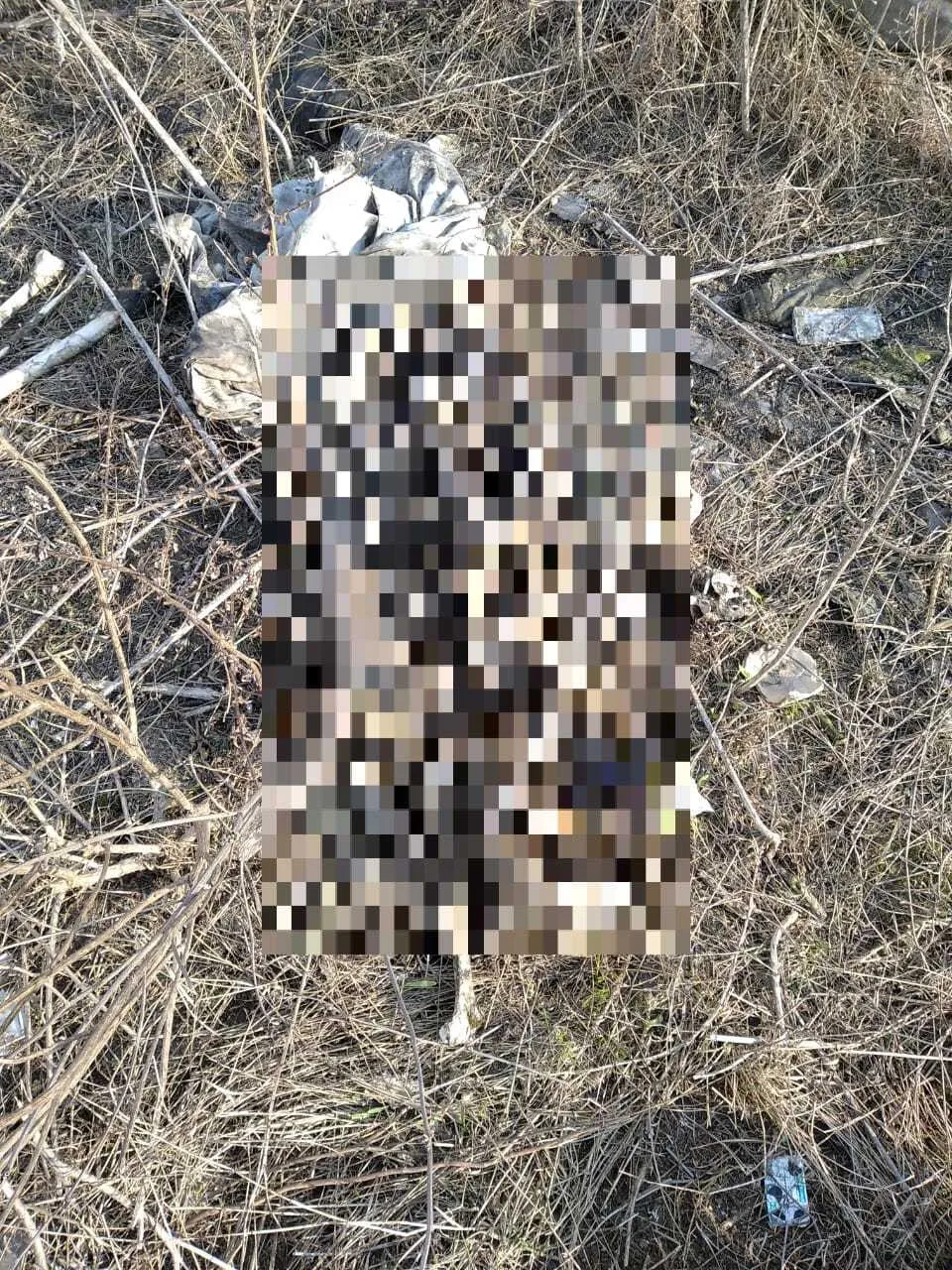 Муміфіковані останки вбитих окупантами українців виявили на Харківщині – Нацполіція