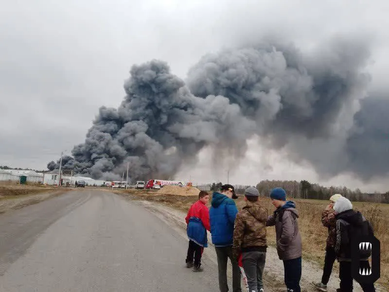Россия снова в огне: горит птицефабрика в Брянской области. Фото и видео dqxikeidqxitkant