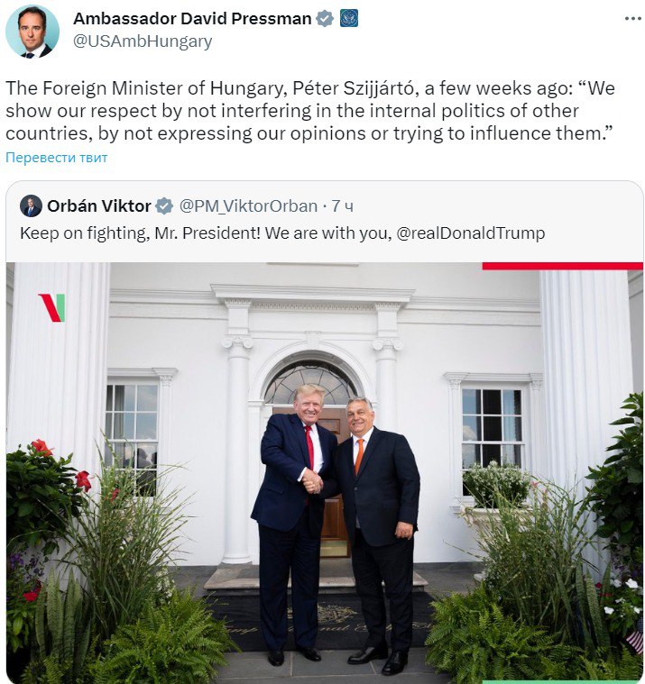 Скріншот із Твіттера dqxikeidqxiqqeant