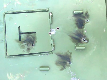 Бойцы 128-й бригады рассказали всю правду о бункерах от Минобороны (ФОТО) Бойцы 128-й бригады рассказали всю правду о бункерах от Минобороны (ФОТО) dqxikeidqxiqqeant