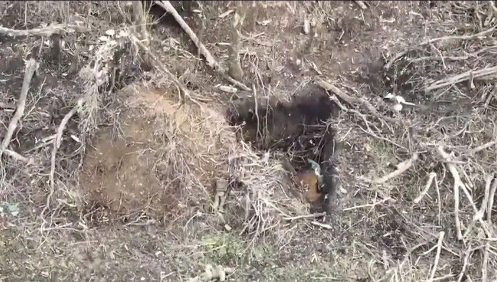 Такого не покажуть по росТВ: окопи під Бахмутом завалені тілами ліквідованих загарбників. Відео