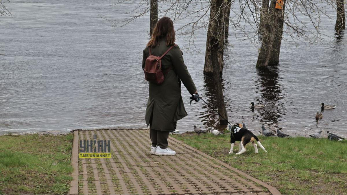 Фото УНІАН dqxikeidqxiqqeant