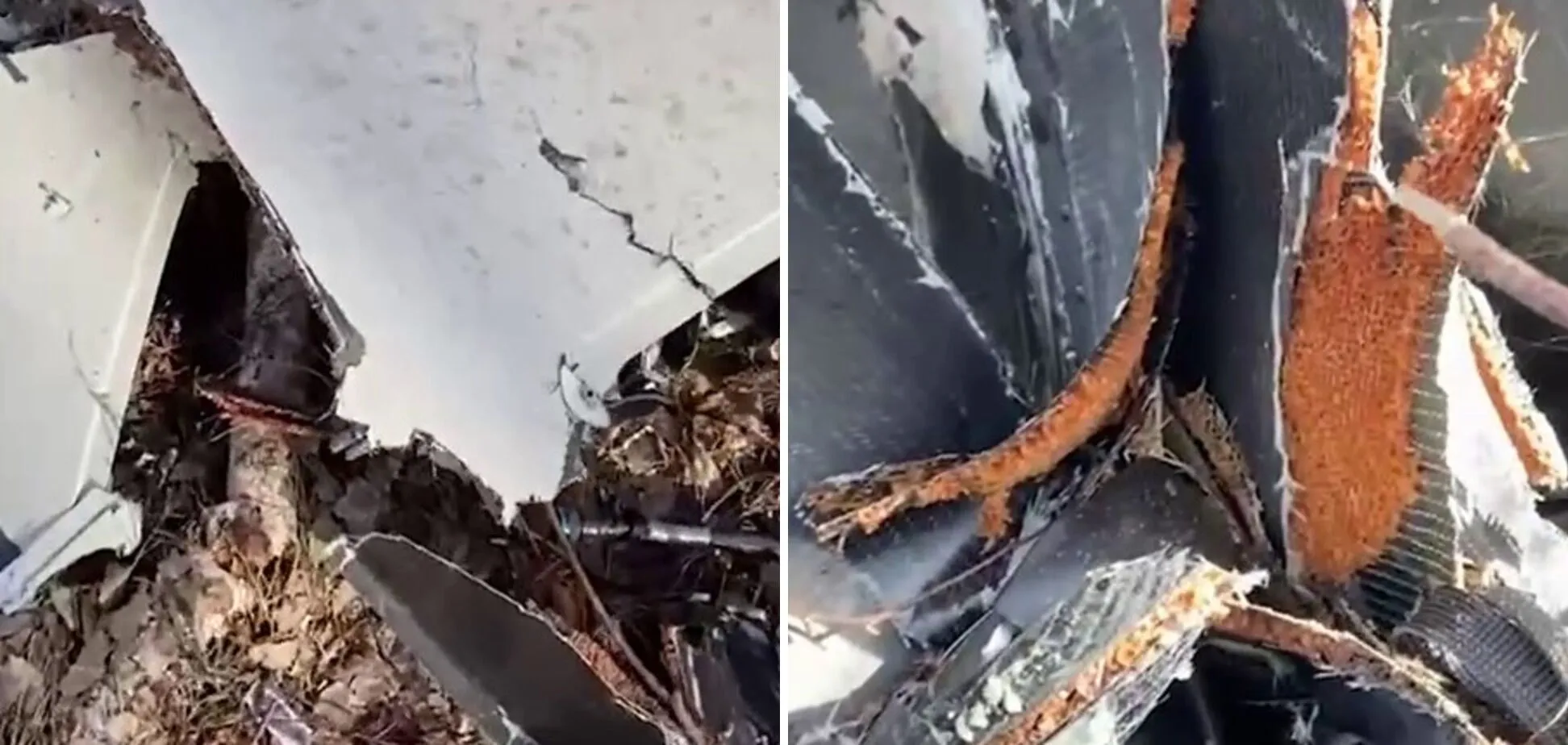 Сдетонировать не успел: в Черниговской области украинские пограничники сбили вражеский "Шахед". Видео dqxikeidqxiqqeant