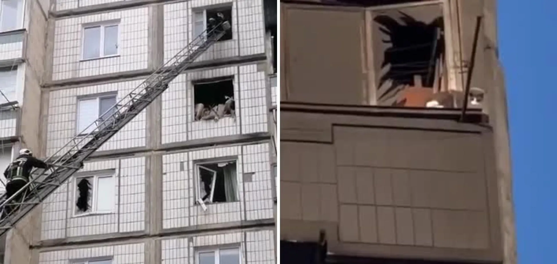 В Умані зі зруйнованого ракетним ударом будинку врятували котика: відео торкнулося мережі dqxikeidqxitkant