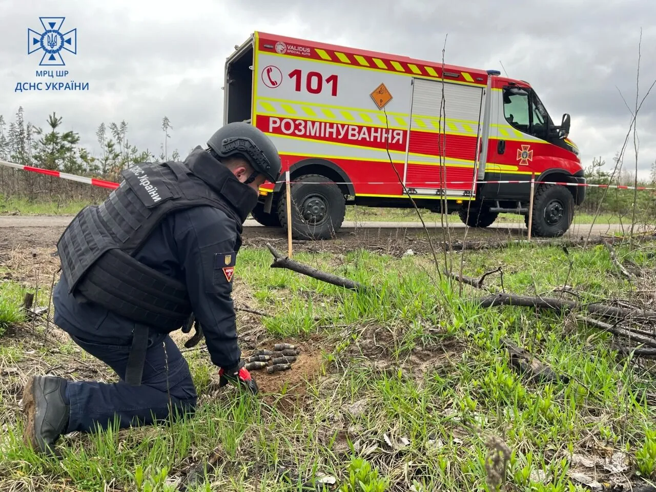     :     dqxikeidqxidant