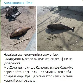 В оккупированном Мариуполе на побережье массово выбрасываются дельфины. Фото