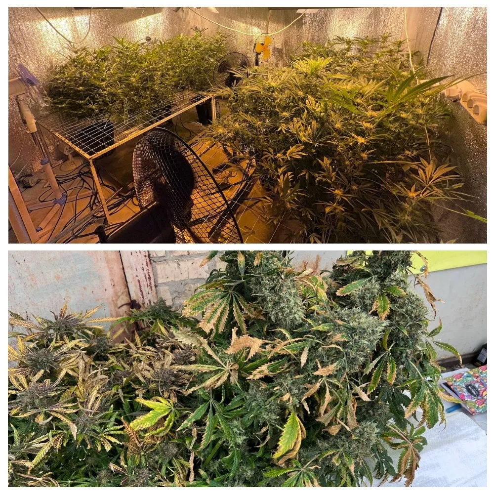     ,    ""   .    dqxikeidqxidant