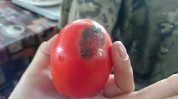 Военные питаются гнилыми помидорами и «деревянным мясом» - журналистка (ФОТО) Военные питаются гнилыми помидорами и «деревянным мясом» - журналистка (ФОТО)