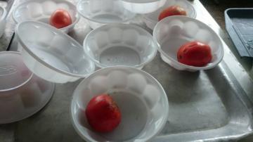 Военные питаются гнилыми помидорами и «деревянным мясом» - журналистка (ФОТО) Военные питаются гнилыми помидорами и «деревянным мясом» - журналистка (ФОТО)