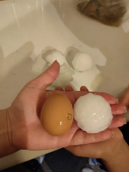  ?         ,   .     dqxikeidqxidant