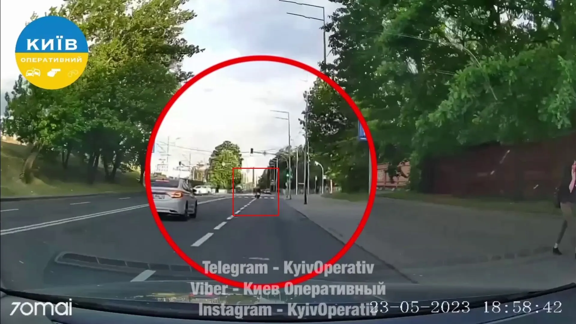 У Києві мотоцикліст ледь не загинув через собаку-порушника ПДР. Відео dqxikeidqxiqxxant