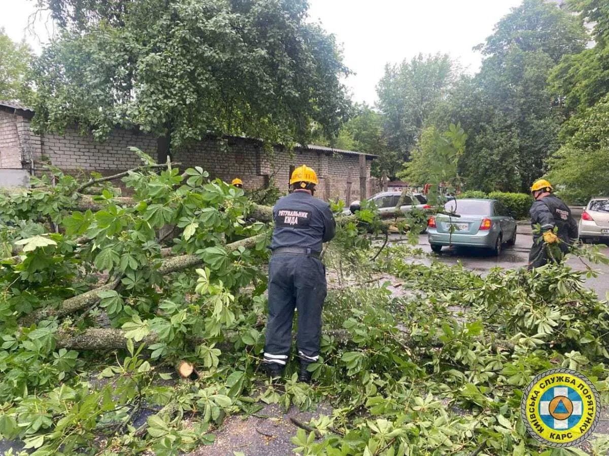 Поломані дерева та пошкоджені авто: рятувальники показали наслідки урагану в Києві 2 червня. Фото