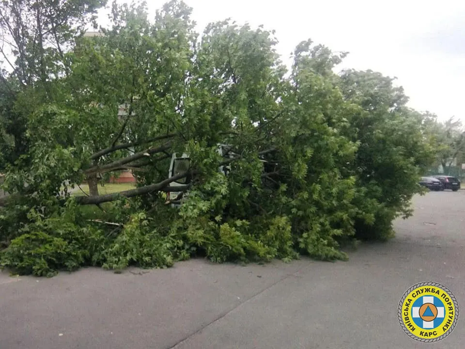 Поломані дерева та пошкоджені авто: рятувальники показали наслідки урагану в Києві 2 червня. Фото