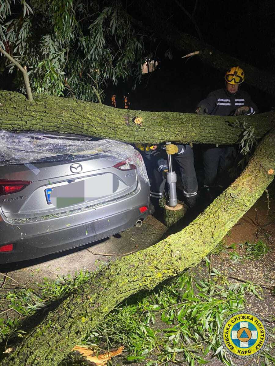 Поломані дерева та пошкоджені авто: рятувальники показали наслідки урагану в Києві 2 червня. Фото