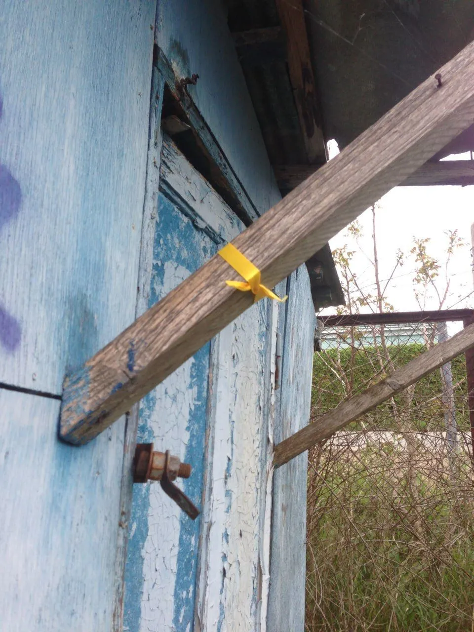        100 ""  .  dqxikeidqxidant