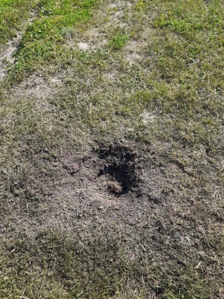 БПЛА атакував Курськ, фото dqxikeidqxiqqeant