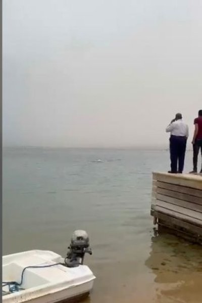 Место, где напала акула в Египте, нападения акул, акула съела человека, акула напала 2023 год, акула нападение, акула в Египте,