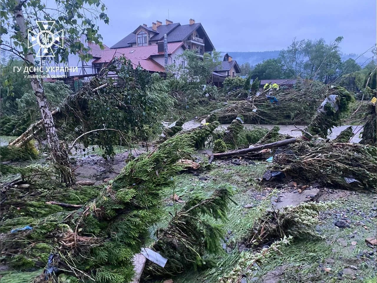       :     .    dqxikeidqxidant