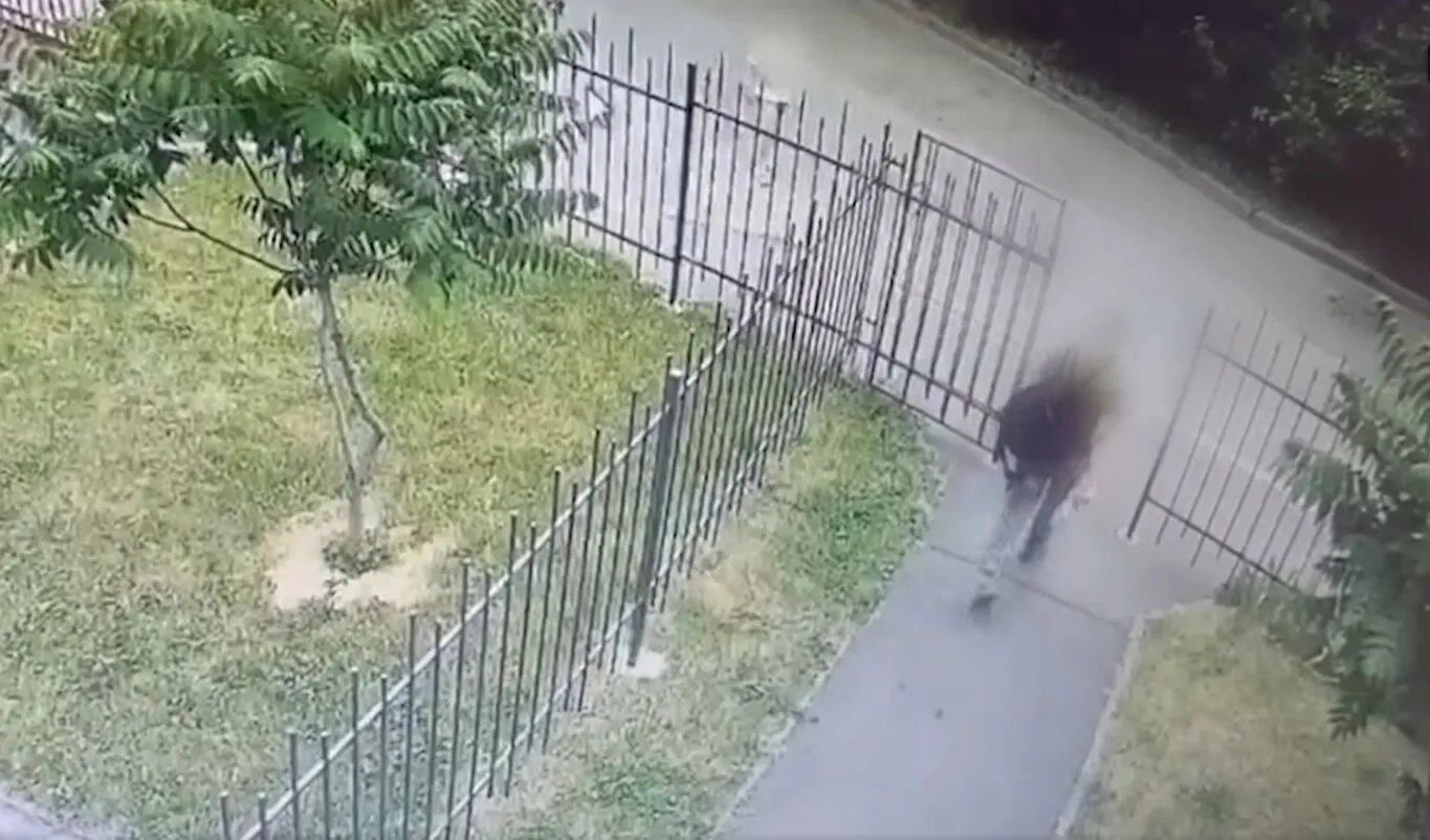 На Київщині затримали крадіїв-гастролерів, які