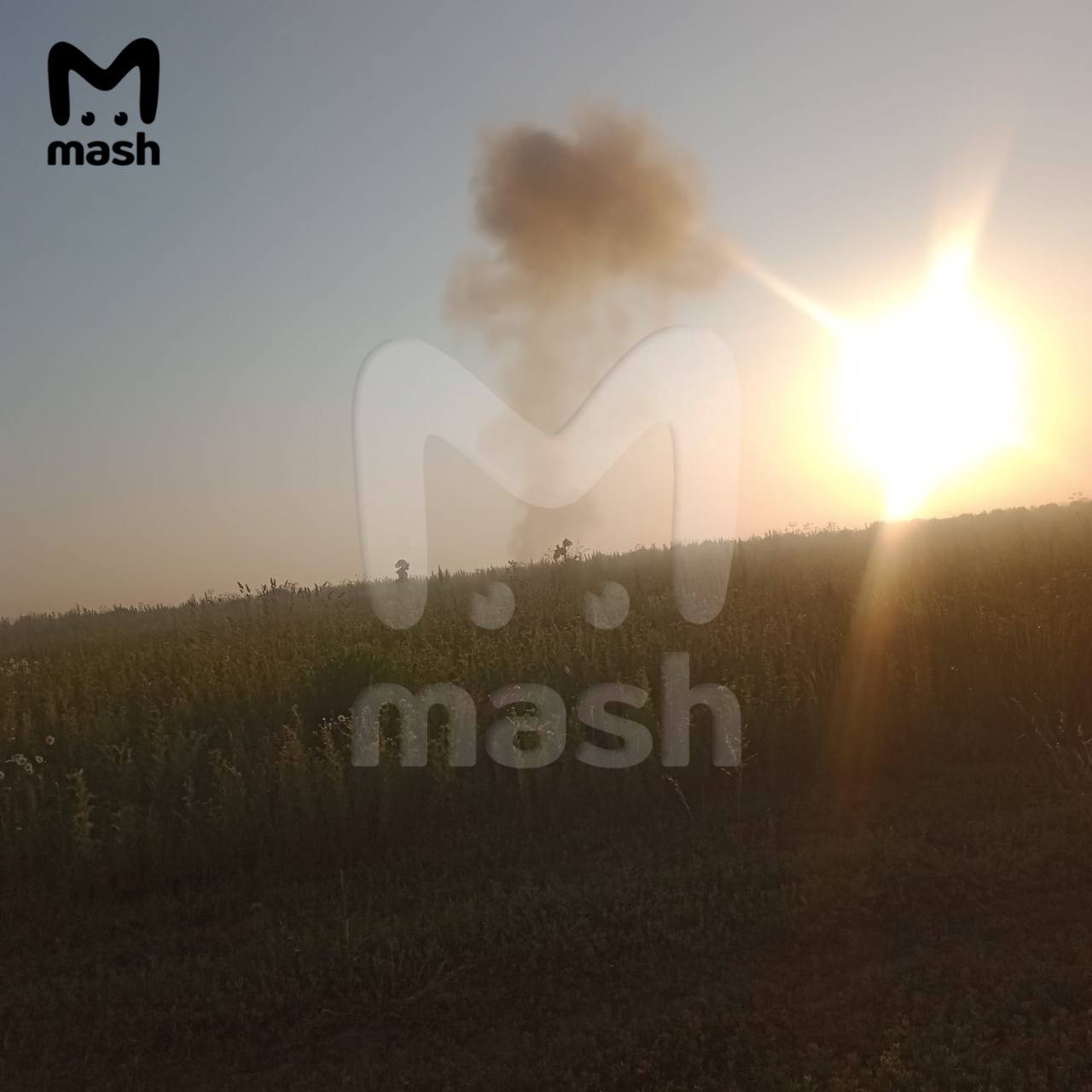   ϳⒿ      dqxikeidqxiqqeant