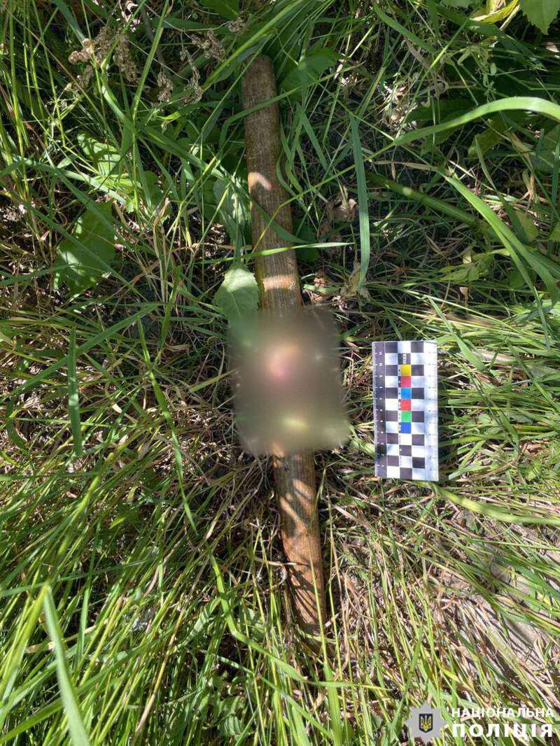 У Вінницькій області 48-річна жінка під час суперечки завдала тяжких тілесних ушкоджень качалкою своєму чоловікові dqxikeidqxiqqeant