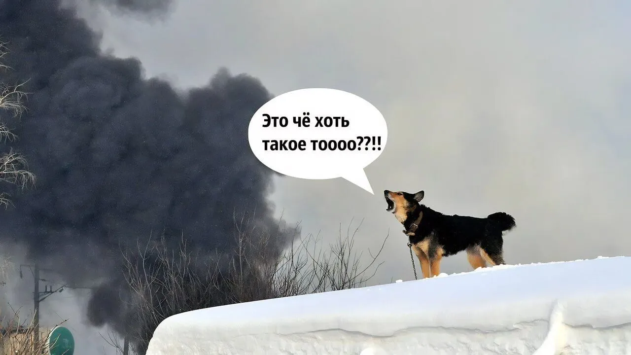 "А розмов-то було": як соцмережі відреагували на "договорняк" Пригожина з Путіним. Фото