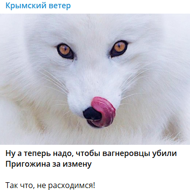 "А розмов-то було": як соцмережі відреагували на "договорняк" Пригожина з Путіним. Фото