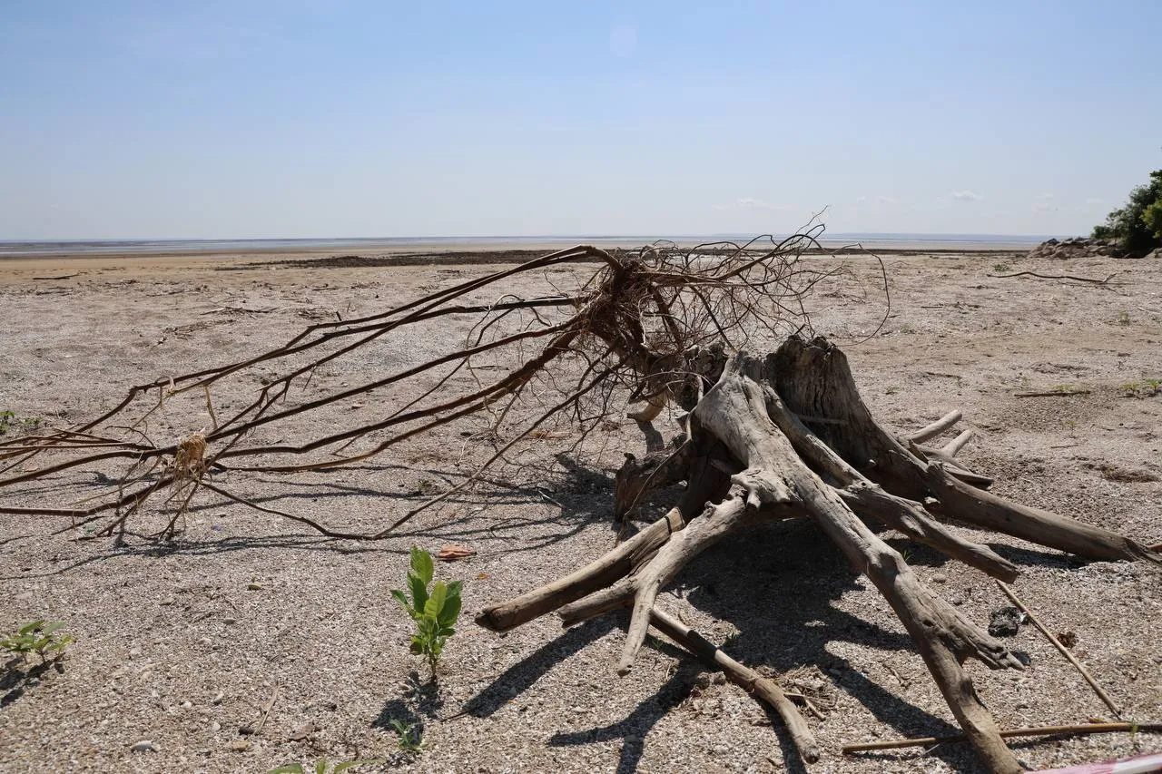 Висохло, як у Африці: у мережі показали, який зараз вигляд має Каховське водосховище. Фото і відео dqxikeidqxitkant