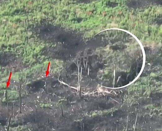 В ход пошла палка: украинский дрон снял драку окупантов прямо на позициях. Видео dqxikeidqxiqxxant