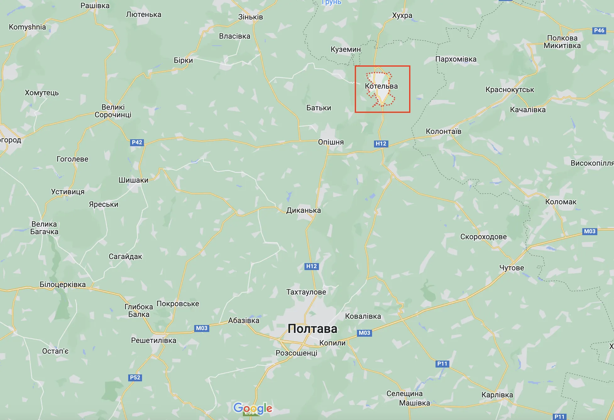 На Полтавщині у приватному зоопарку лев покусав чоловіка: він у реанімації