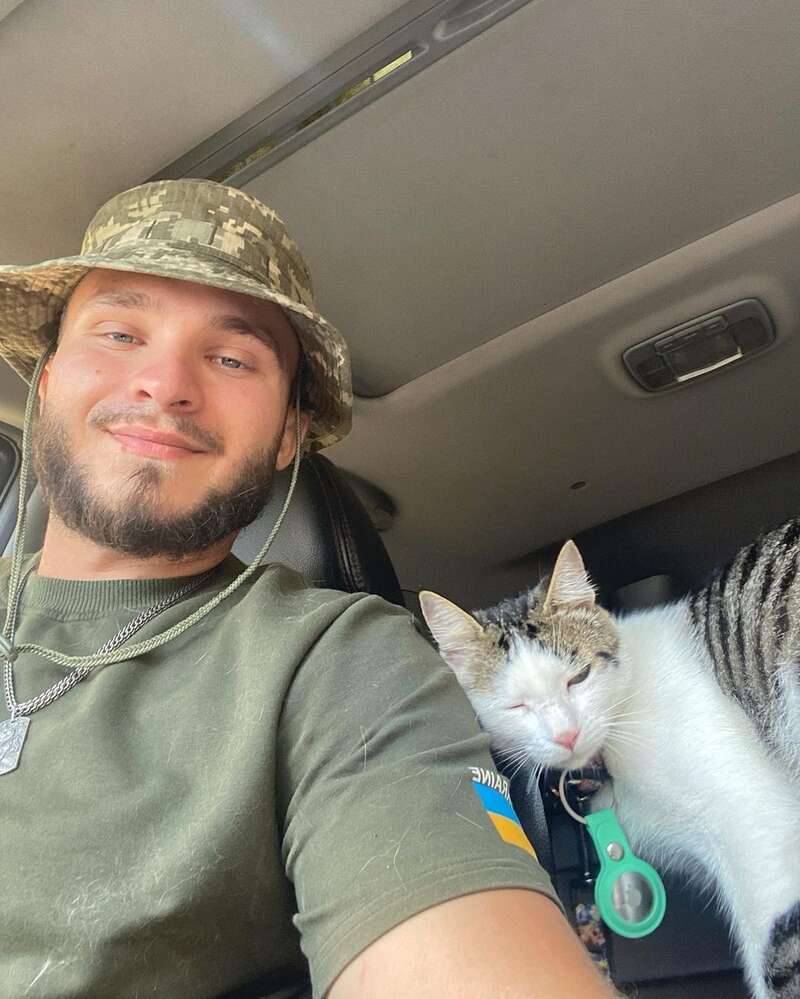 Кот украинского военного Шайба, который стал звездой сети, нашелся. Фото dqxikeidqxitkant