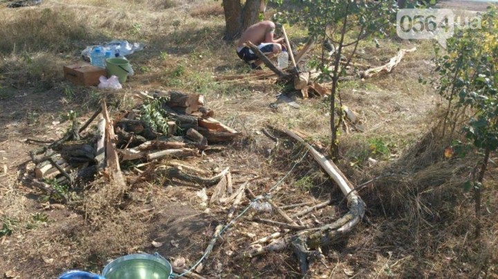 image-150ef9bd95a3d3a22a26c3929cde7ec7f0bd117b980fe961c1c749b08521decd-V