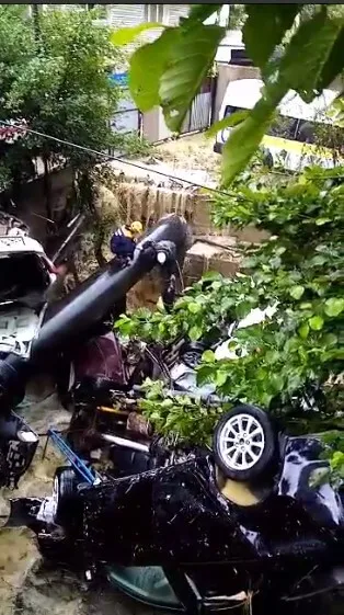 ?     :  ,    .    dqxikeidqxidant