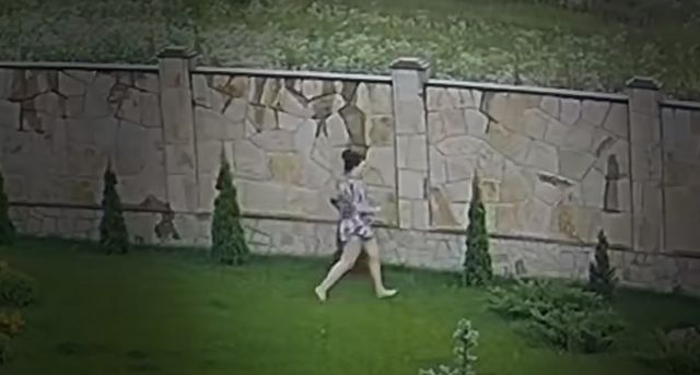 принскрин видео dqxikeidqxitkant