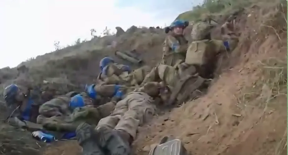 Військовослужбовці Нацгвардії штурмували позицію ворога на Запоріжжі, наблизившись майже впритул. Відео dqxikeidqxitkant