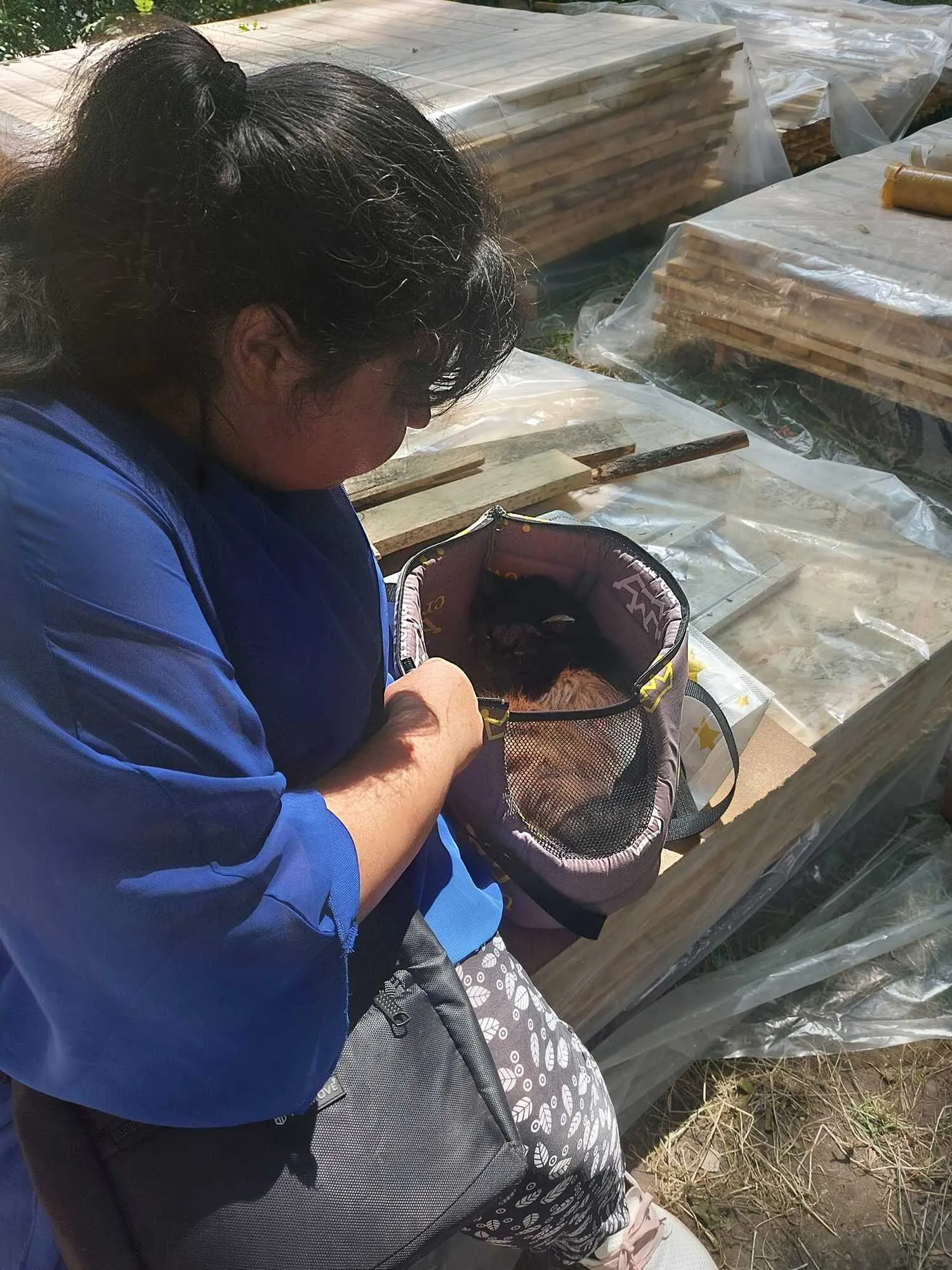 ʳ        dqxikeidqxidant