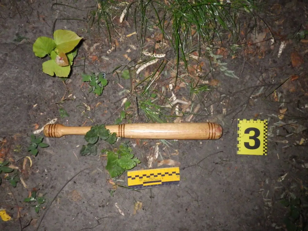 У Києві чоловік через словесну суперечку битою забив до смерті пенсіонера. Фото dqxikeidqxitkant