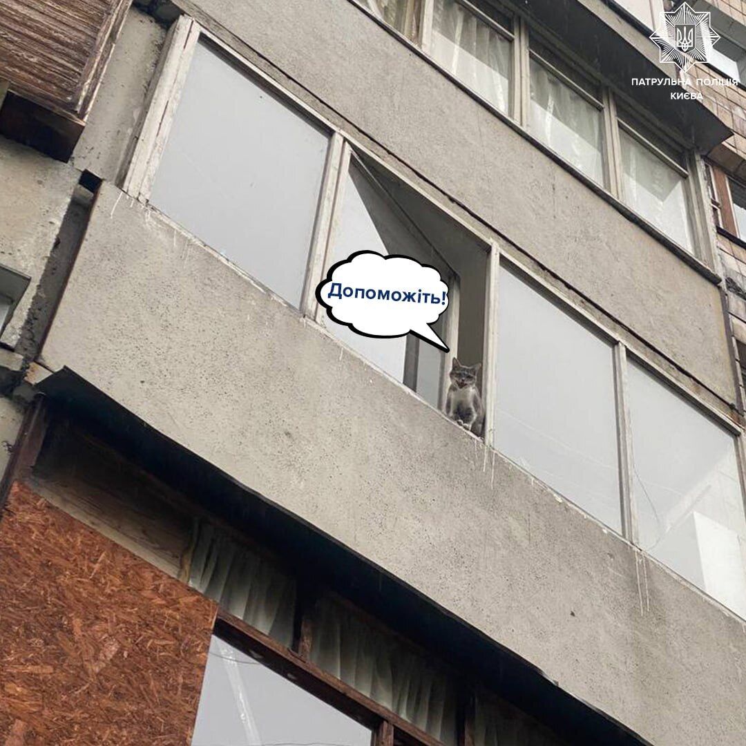    ,       .  dqxikeidqxidant