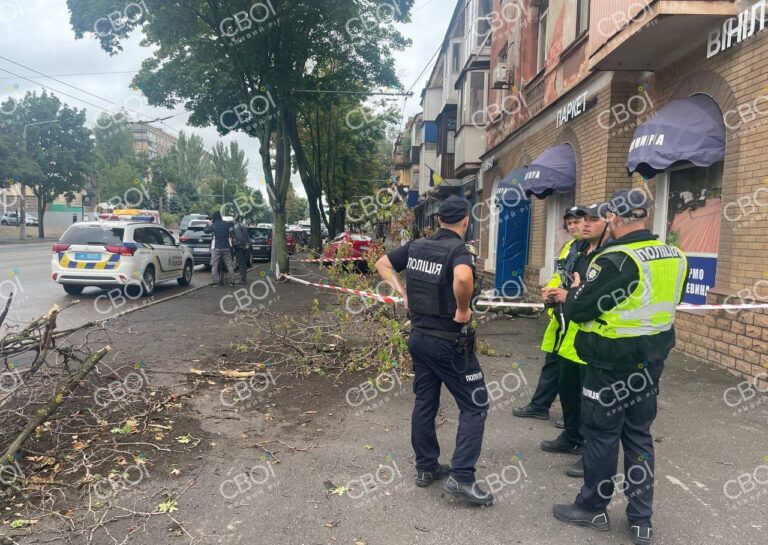 В Кривом Роге авто вылетело на тротуар и сбило беременную: женщина умерла в больнице. Фото и видео