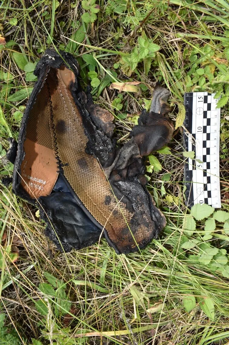 У Чернігівській області чоловік убив банкіра у заміському будинку та спалив тіло: спливли деталі розправи. Фото і відео