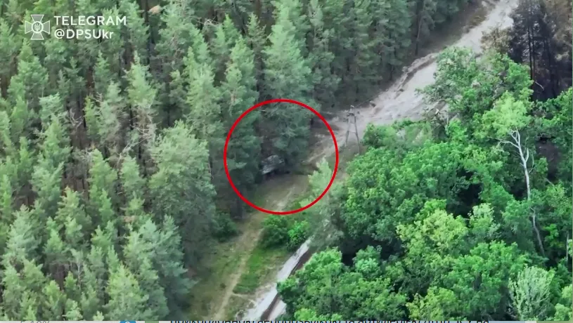  !        . ³ dqxikeidqxitkant