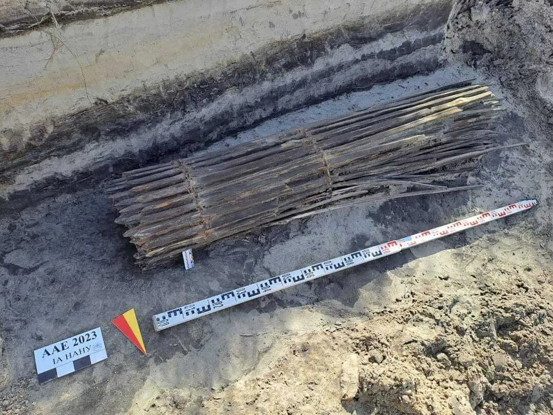 На Київщині знайшли унікальний артефакт, який вимило водою річки Десна. Фото