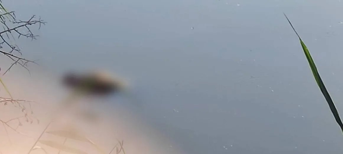 В Киевской области дети во время прогулки обнаружили в озере тело мужчины. Фото