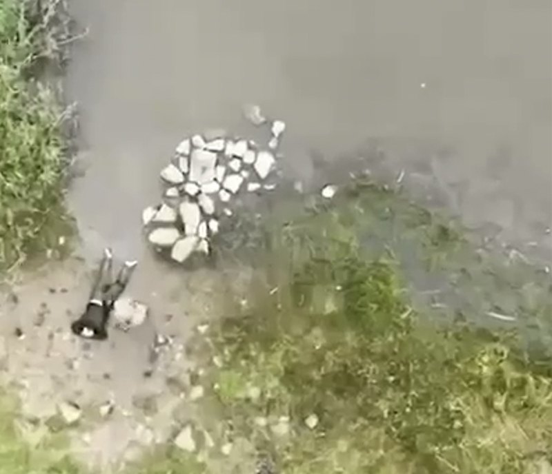 Окупант здається в полон