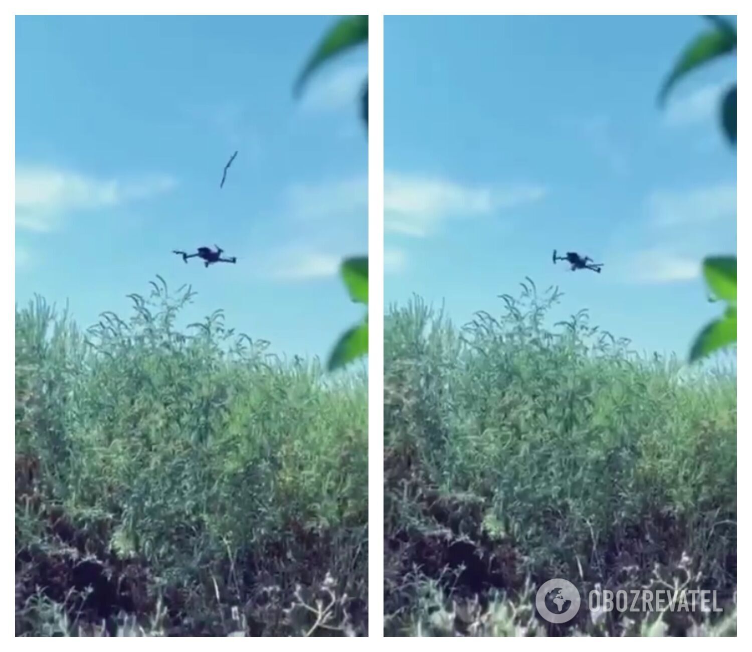 Первый бросок dqxikeidqxiqqeant