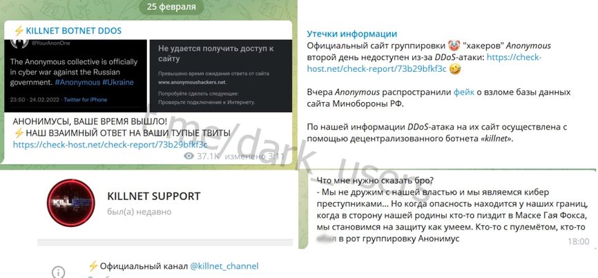 Скриншот видання Darknet News