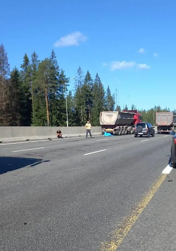       ,  .    dqxikeidqxitkant