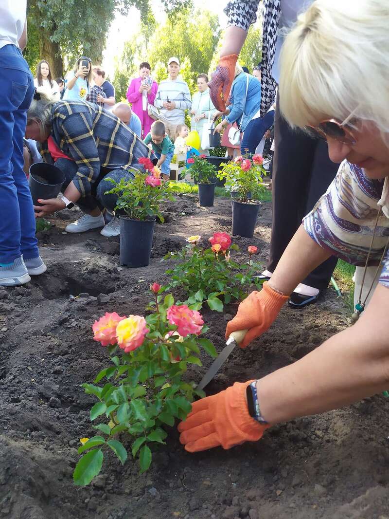 В столичном парке