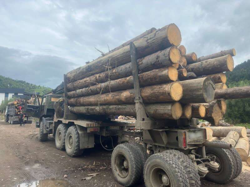 на раховщине полицейские изъяли из подпольного цеха партию нелегальной древесины: по факту возбуждено уголовное производство на рахівщині поліцейські вилучили з підпільного цеху партію нелегальної деревини: за фактом відкрито кримінальне провадження