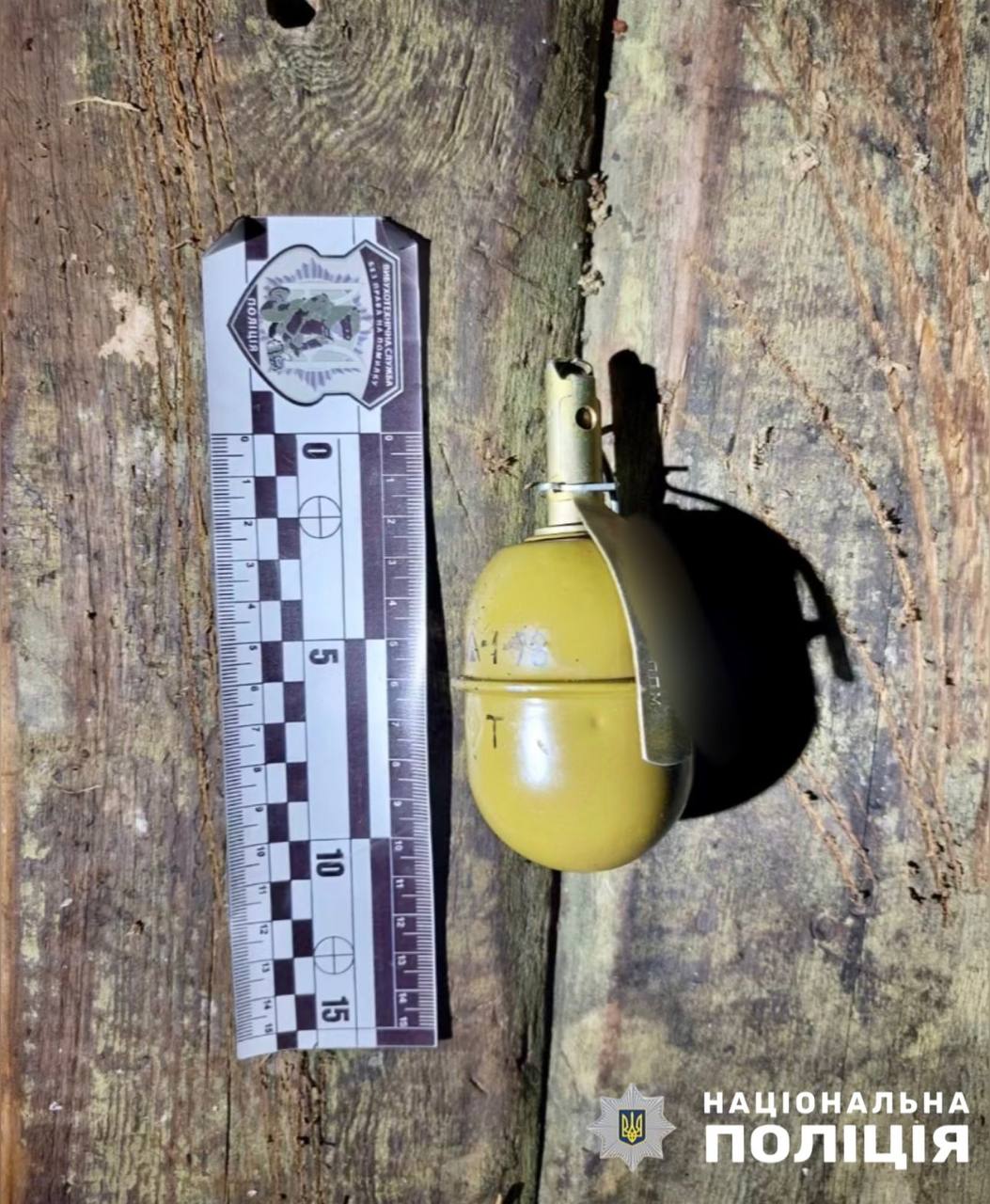      :    «» dqxikeidqxiqqeant